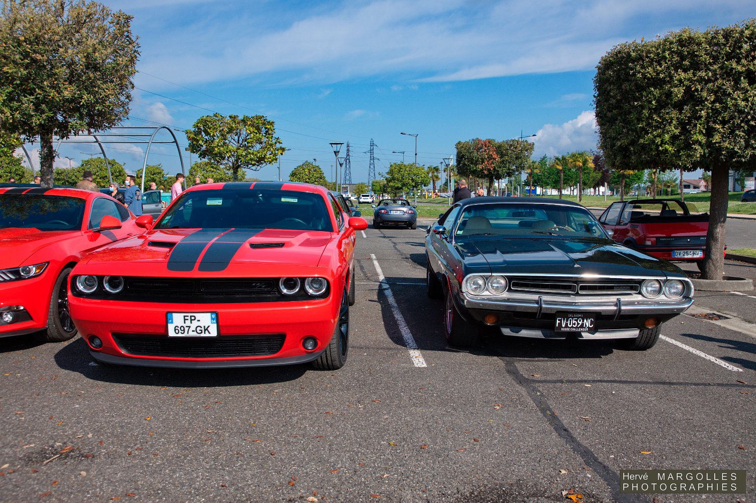 Dodge Chalenger-02.jpg
